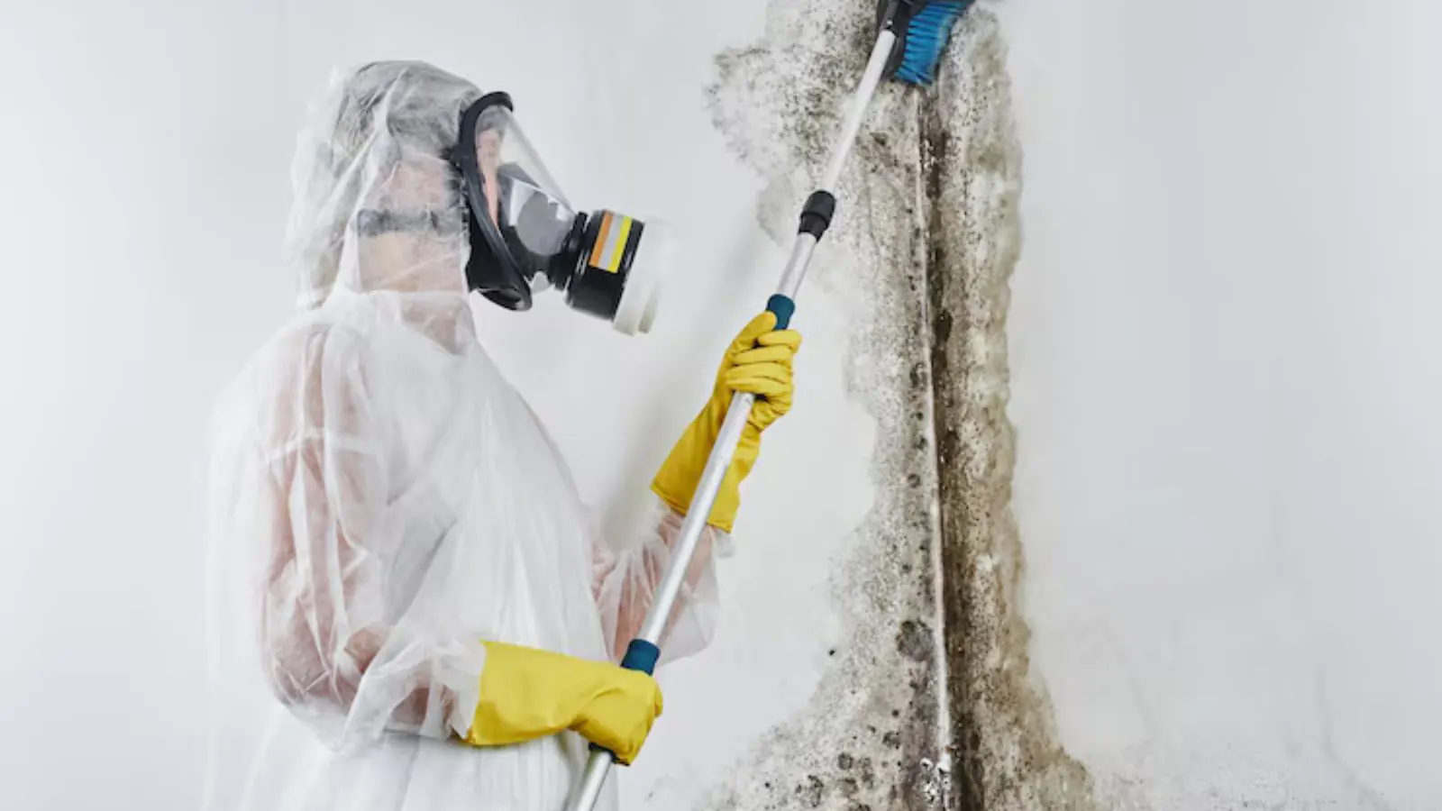 Worker in a respirator and protective suit treating a mold-stained wall with a long pole tool