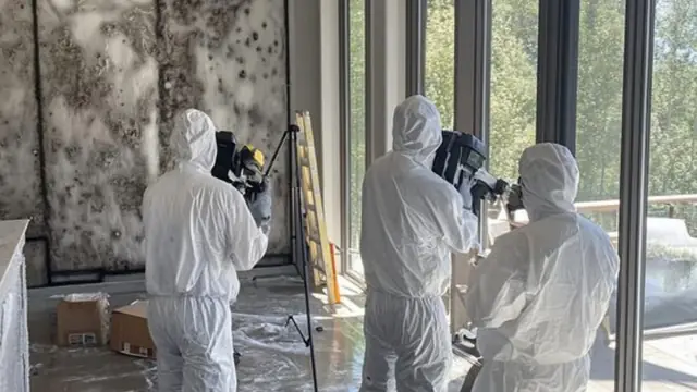 Crew in protective suits documenting a mold-covered wall with cameras