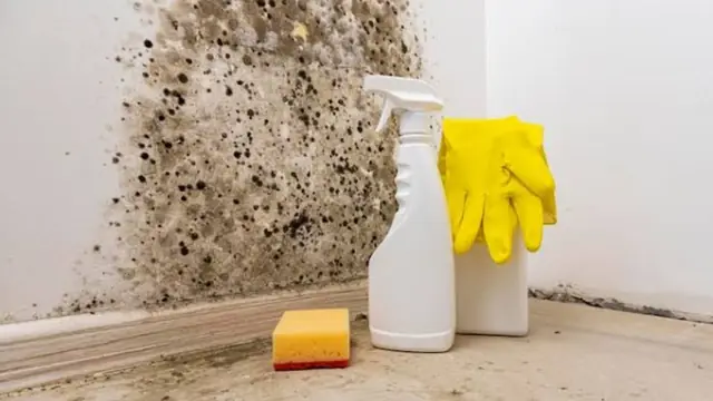 Spray bottles, sponge and gloves beside a mold-stained wall and baseboard